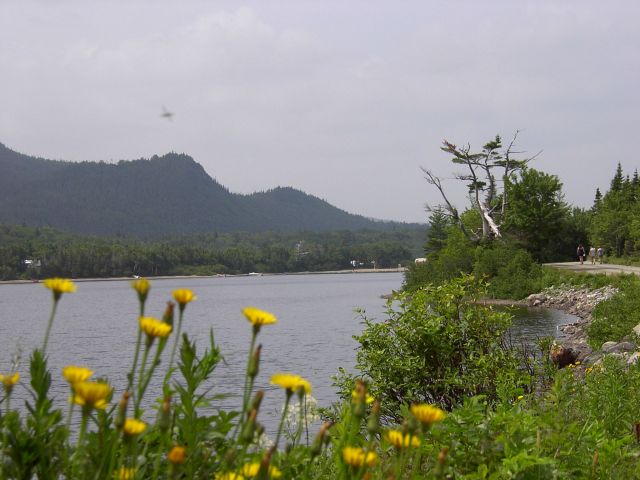 Barachois Pond Provincial Park