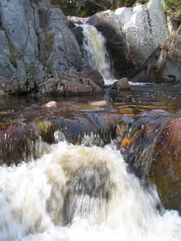 J.T. Cheeseman Provincial Park